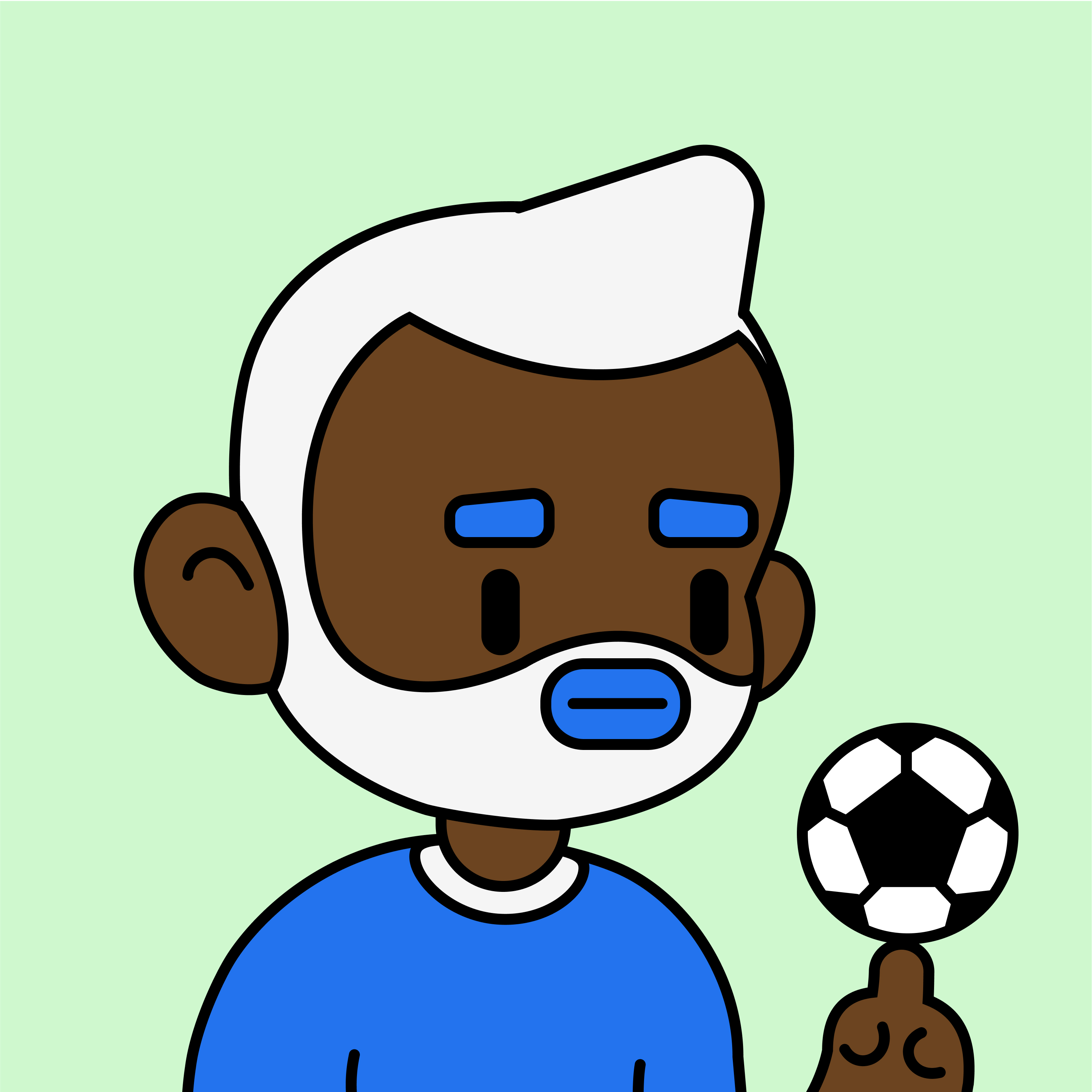 Picture of the author